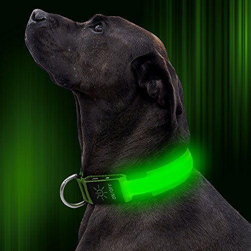 LED Dog Collar For Camping