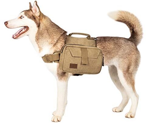 Dog Pack For Camping