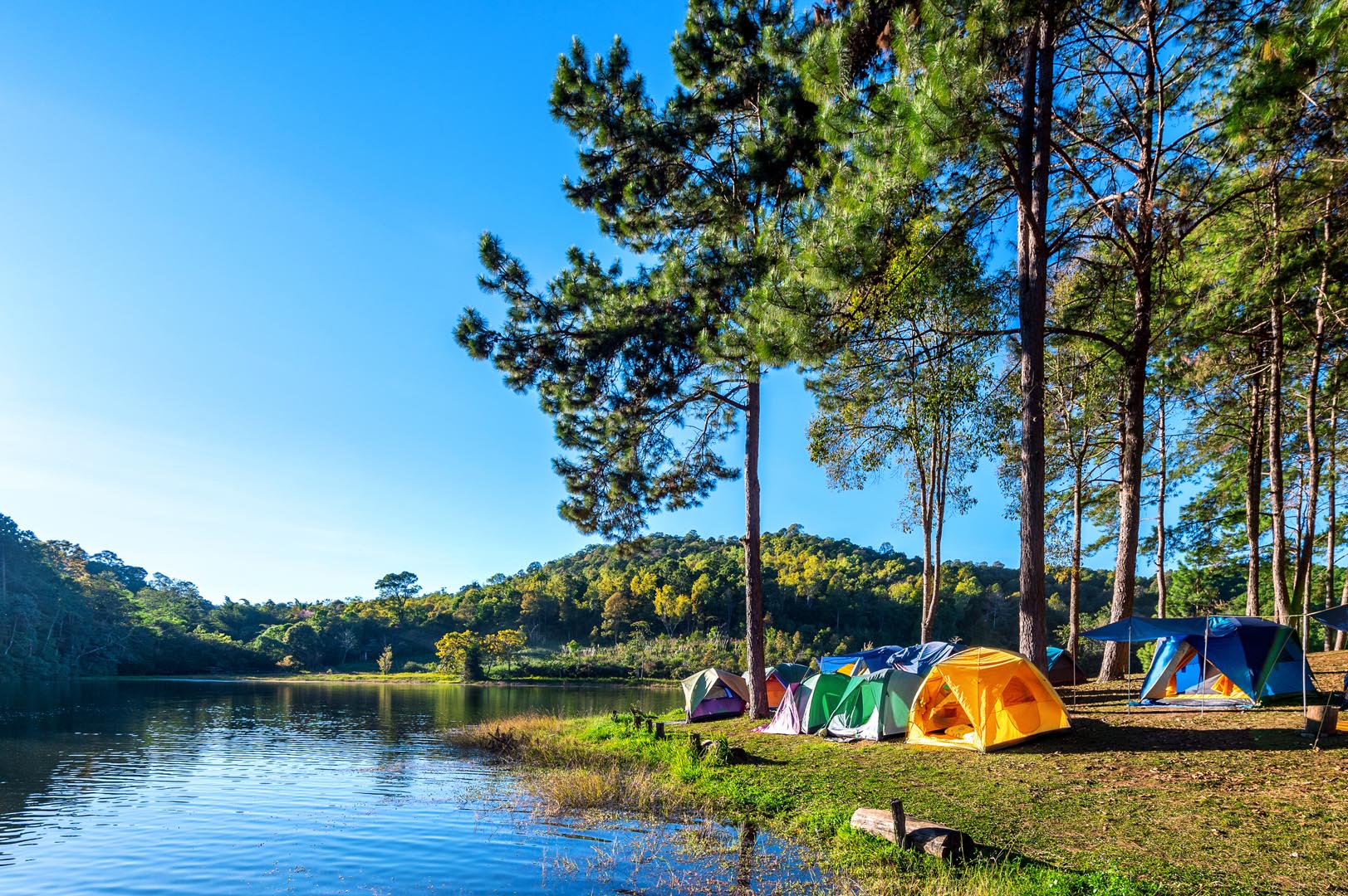 Camping tents pine trees with sunlight pang ung lake mae hong son