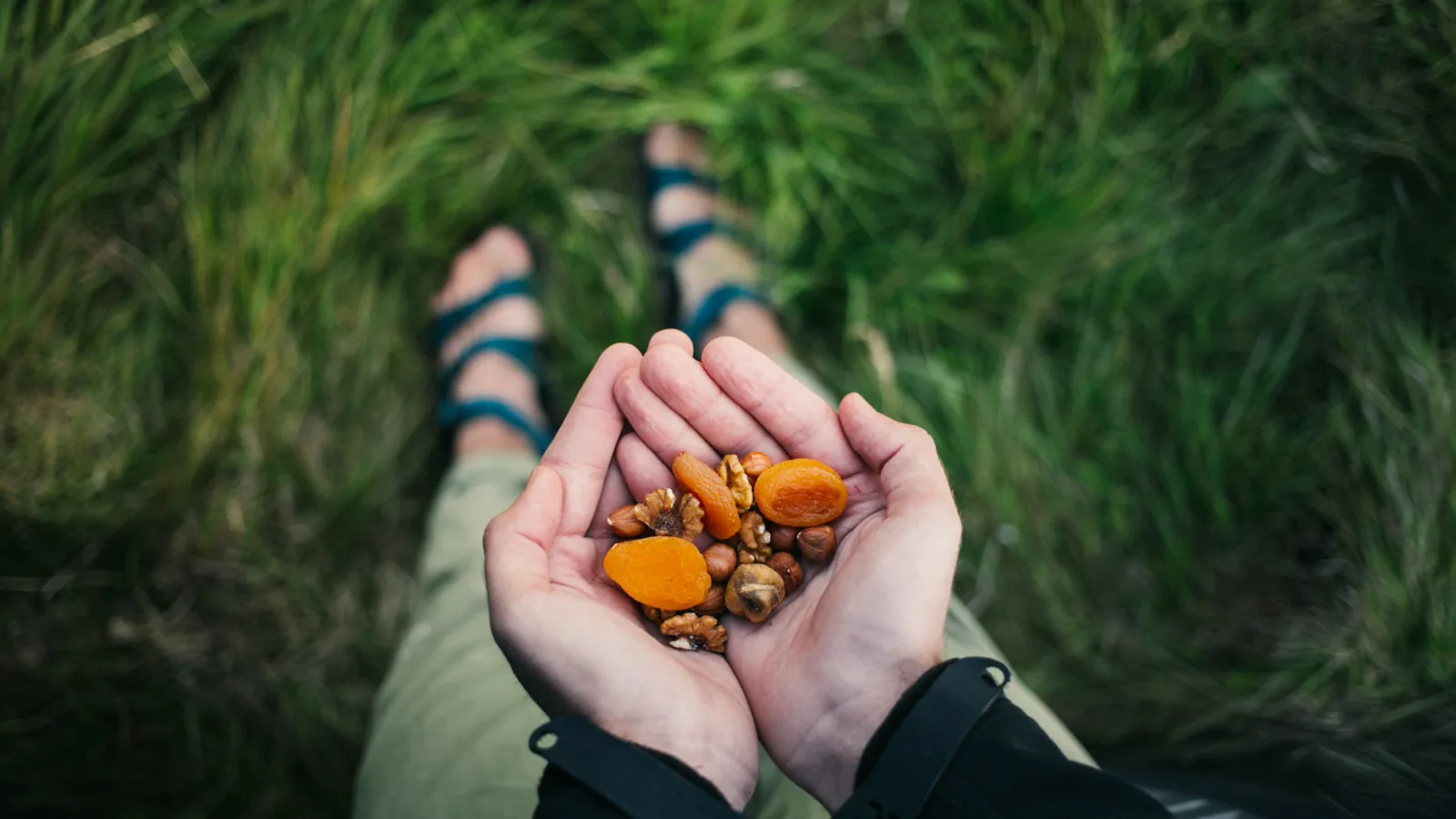 Cupped hands holding a trail mix of walnuts, hazelnuts and dried apricots on a hike