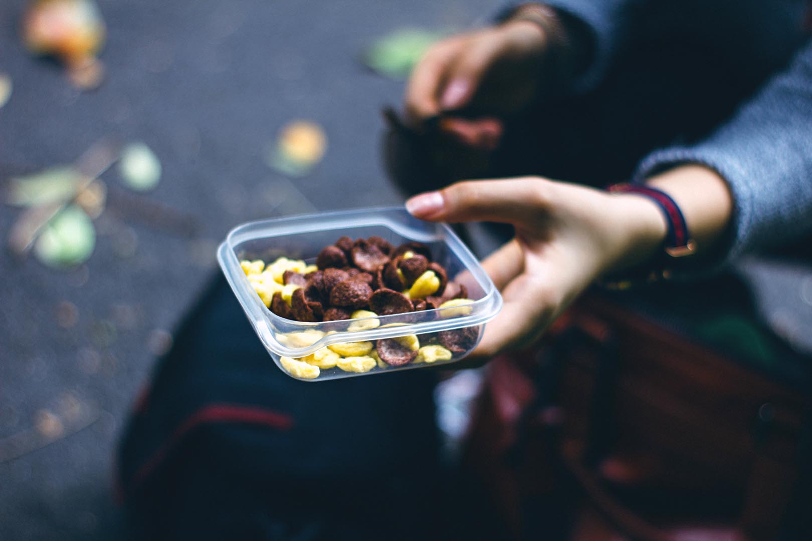 Cropped hand holding breakfast lunch box