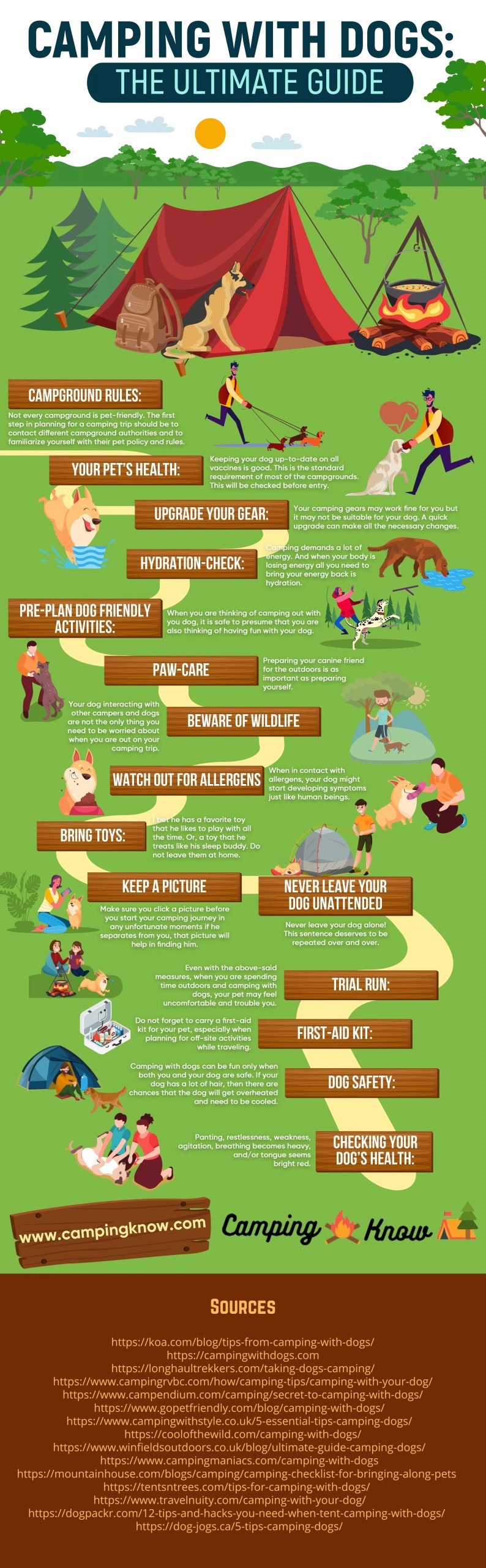 Camping With Dogs Infographic