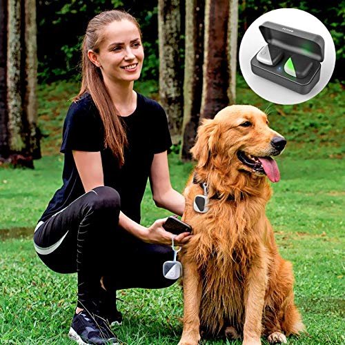 GPS Tracker For Dogs While Camping
